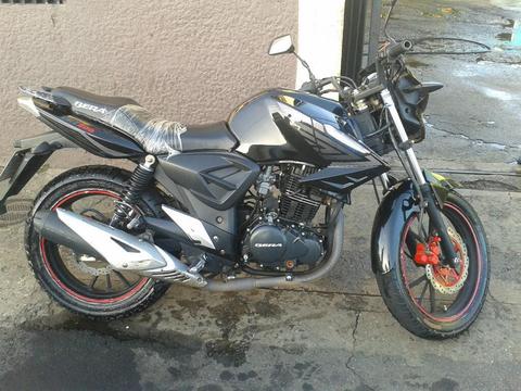 Bera Brz Evolution 2014