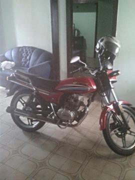 Horse1 2014