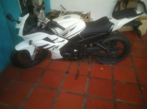 Bera R1 Originalita 2013