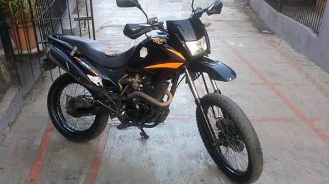 bera dt 2011