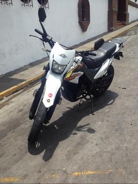 Moto Bera Dt 2014