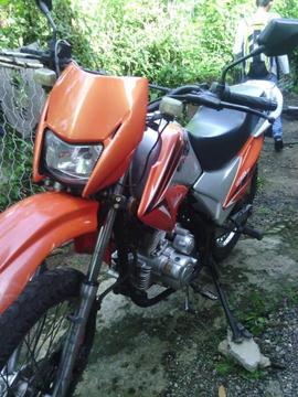 MD lechuza año 2013