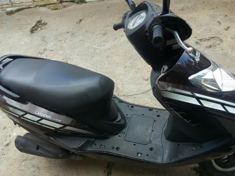 Vendo O Cambio Scooter Md Cardenal