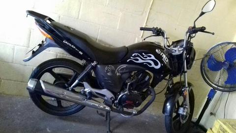 Moto Gavilan