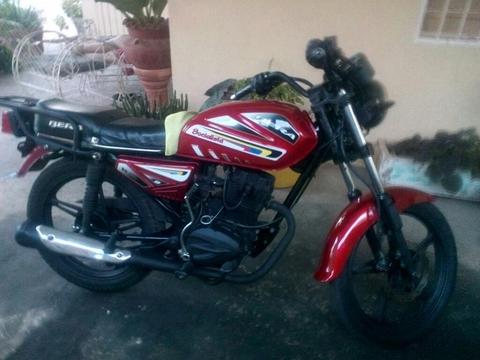 Vendo Bera Virga