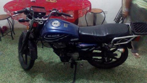 Moto Md Aguila 2014