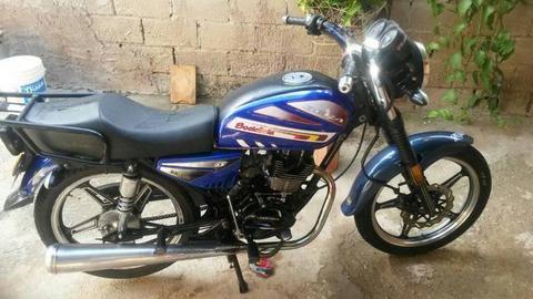 se vende bera socialista año 2014