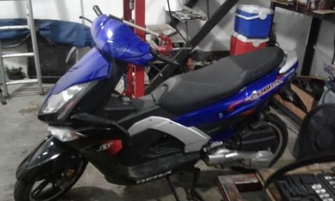 Se vende bera cobra nueva