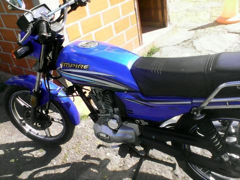 Horse 2013