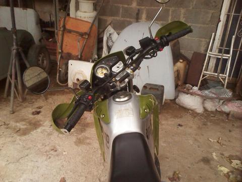 md lechuza año 2015