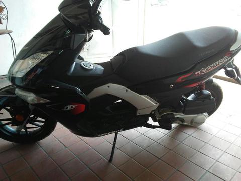 Moto Bera Cobra 2014