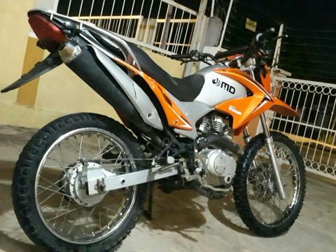 Moto Lechuza 2013