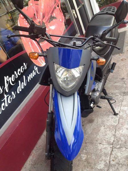 Moto tx 2013