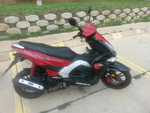 Moto Bera Cobra 2014