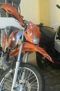 Lechuza Md 2015 Nueva