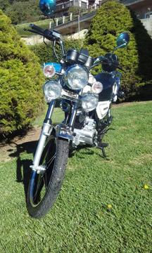 Bera León Año 2015 Nueva!