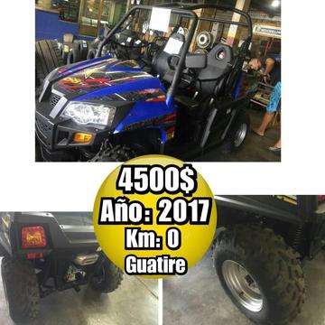 Utv Quarts Tipo Mule 2017 4X4 Nueva