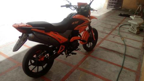 Vendo Bera Dt 2014