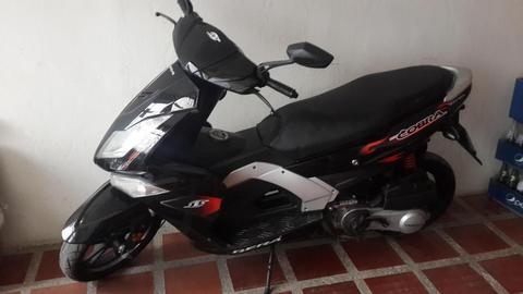 Moto Bera Cobra New 2013