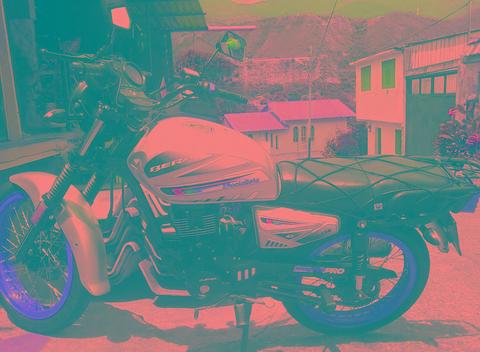 bera socialista 2013