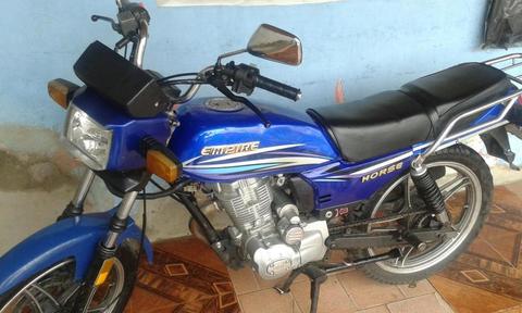 se vende horse 2012