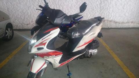 Se Vende Bera Runner 2014