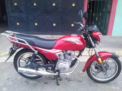 vendo horse 2 virga