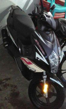 Se Vende Bera Runner 2014