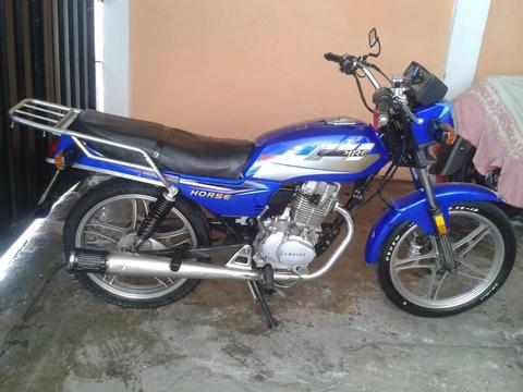 EN VENTA HORSE 1