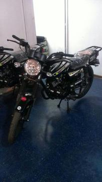 Bera Socialista 2016 0 Km