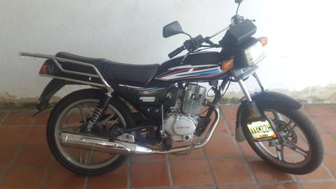 HORSE Rayas Lokas 2012