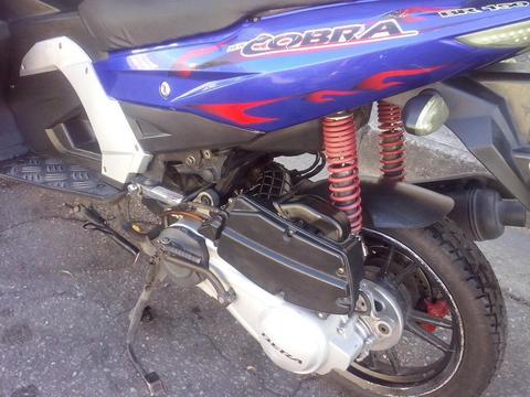 Vendo Cobra Bera 2014