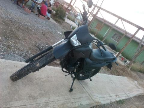 Vendo Bera Dt