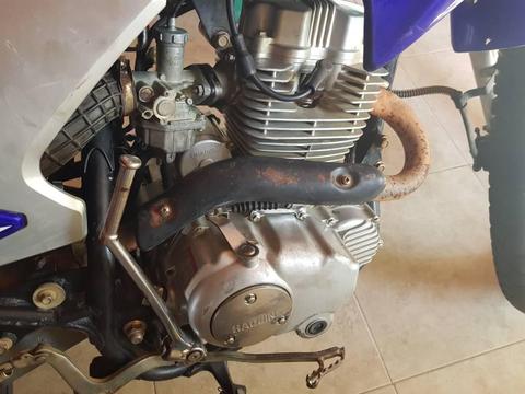 md trepador lechuza 04128897598