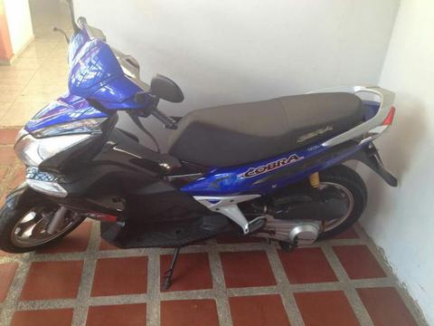 Moto Bera Cobra