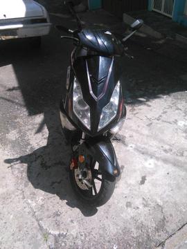 Se Vende Bera Cobra