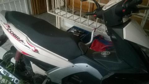 EN VENTA MOTO COBRA BERA 2014