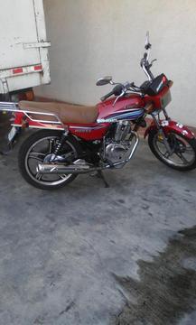 horse rayas locas 2012