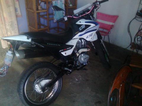 vendo bera dt