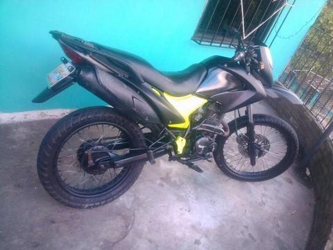 Moto 04268619065 04147029555