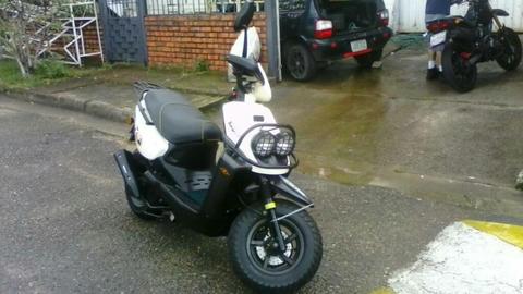 Se Vende Bera Bws 2013