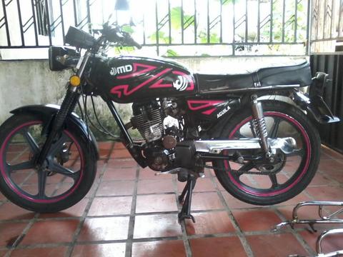 md aguila 2013
