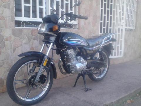 vendo horse 2014