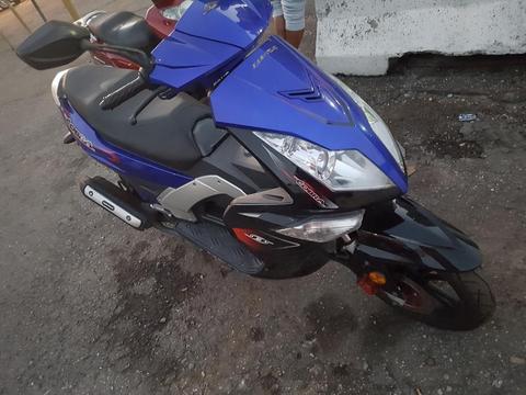 Bera Cobra 2014 Casi Nueva Titulo