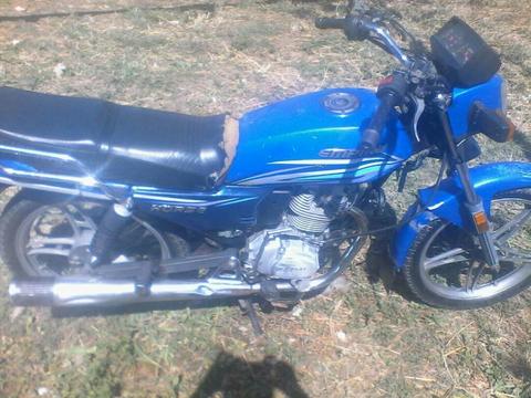 Vendo Horse Rayas Locas 2011