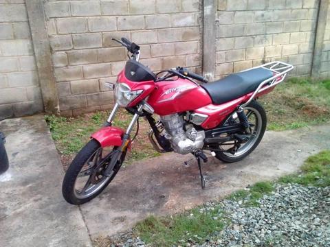 horse 2 titulo y carnet