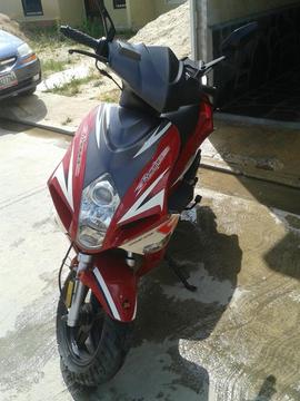 Bera New Runner Año 2014