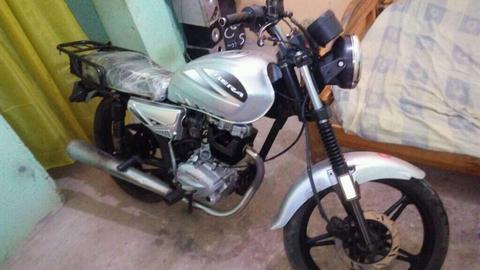 bera socialista 2013