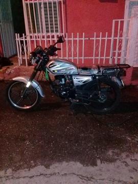 BERA SOCIALISTA PLATEADO 2013