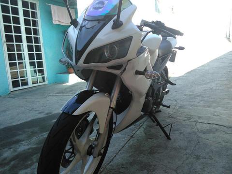 Bera R1 2013